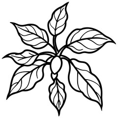 Ashwagandha line art vector