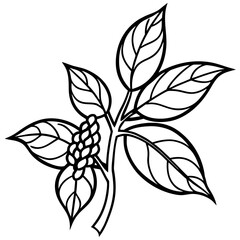 Ashwagandha line art vector