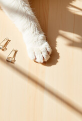 Cat's paw resting beside grooming clips on light wooden table  