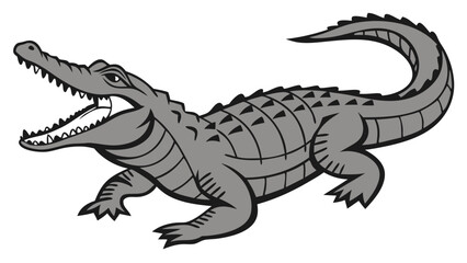 Fototapeta premium “Alligator Isolated Vector Illustration”