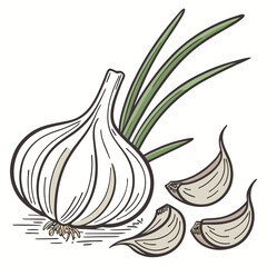 Fresh Garlic Close-up: A detailed illustration of a fresh garlic bulb, accompanied by individual cloves and green leaves, rendered in a rustic style.