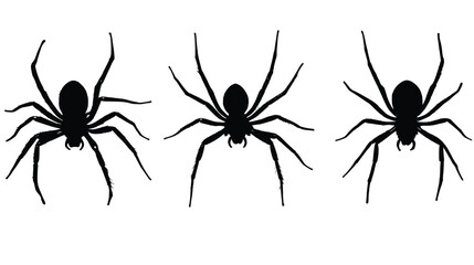 Three Black Spider Silhouettes Isolated on White Background