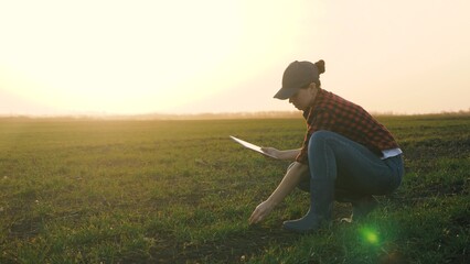A farmer girl works with a tablet in her hand while squatting in a green field in the sunset sky, a...