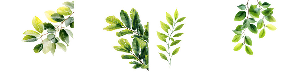 Watercolor Green Leaves Branches Illustration Set
