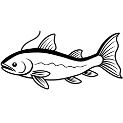 Catfish line art vector