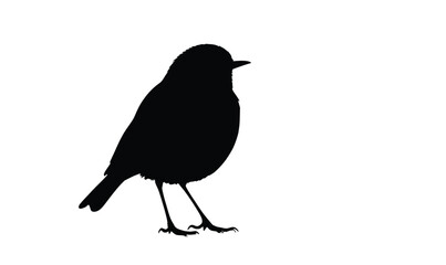 Bird Silhouette Vector | Minimal Small Bird Outline in Black on White