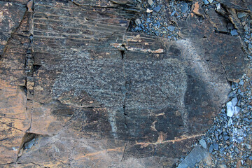 The Khar Uzuur rock inscriptions are located in rural Mongolia. The inscriptions and animal drawings on the rocks date back to the Bronze Age.
