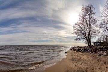 Backlit view of Gulf of Finland shoreline with wavelets, round stones and bare trees silhouetted...