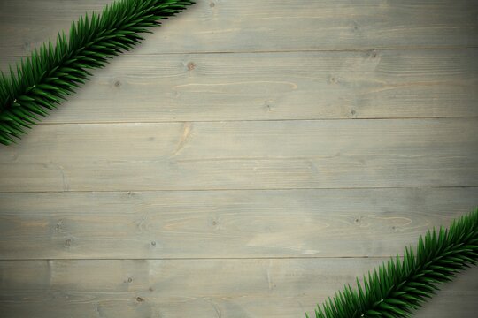 Fir branches over wooden planks