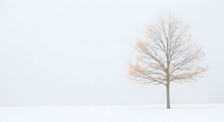 Minimalist Bare Tree in a Vast Snowy White Landscape