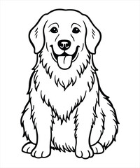 Cute Golden Retrievers