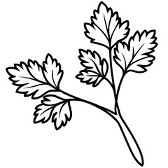 Coriander line art vector