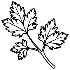 Coriander line art vector