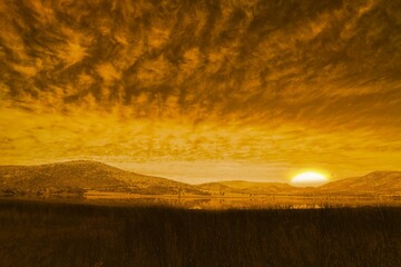 Sun rising in flat design, casting golden light on tall grasses, calm pond, rolling hills