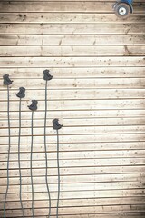 Plugs on wooden background