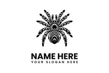 Ornate black spider logo design, stylized arachnid illustration,  perfect for branding.