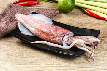 Raw fresh squid for cooking