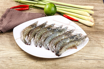 Raw fresh King Tiger prawn