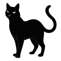 black cat vector illustration