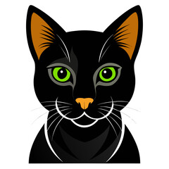 black cat with yellow eyes