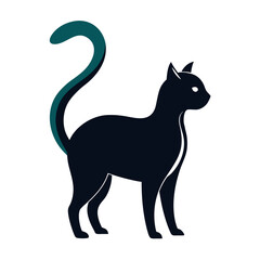black cat on white background