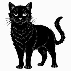 black cat vector illustration