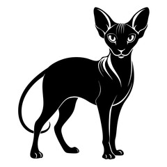 black cat vector