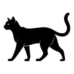 black cat silhouette