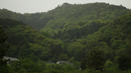 mountain landscape with trees © Arsa Satria