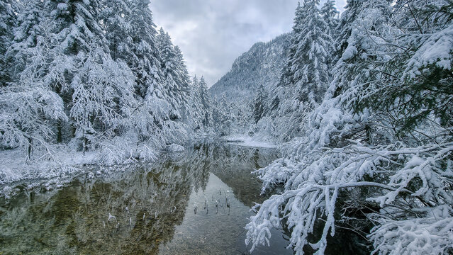 Falkenseebach - Inzell