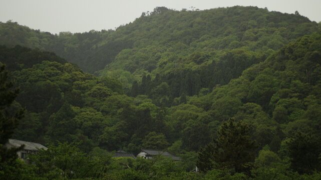 mountain landscape with trees