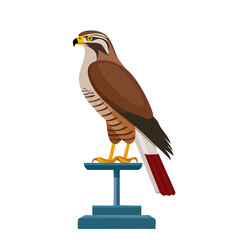 Stylized Saker Falcon Illustration on a Platform