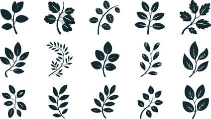 Vector art of collection of various leaves isolated on white background