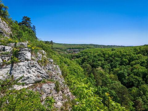 A sweeping forest panorama stretches from the Moln&aacute;r Rock cliffs toward Di&oacute;sgyőr and Miskolc, framed by blooming vegetation and clear blue skies.