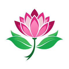 vector lotus flower