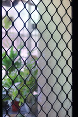 Fototapeta premium house metal screen door