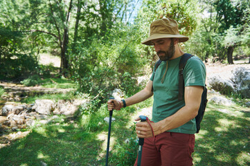 Man Hiking in a Green Forest with Trekking Poles on a Sunny Summer Day