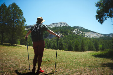Male Traveler Hiking in Sunny Mountain Landscape Using Trekking Poles
