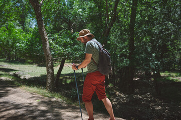 Traveler Hiking in Forest with Backpack and Walking Stick Under Bright Summer Sun
