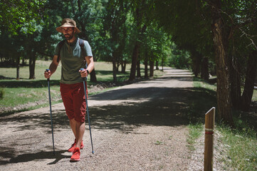 Bearded Man Hiking a Scenic Forest Trail on a Sunny Day