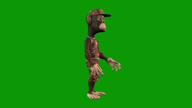 Hip-Hop Monkey Angry Scene From Right-3D Animation on Green Screen