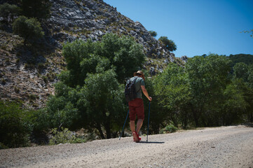 Traveler Hiking in a Rugged Mountain Landscape During a Clear Summer Day