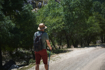 Bearded Man Hiking in Sunny Mountain Landscape with Backpack