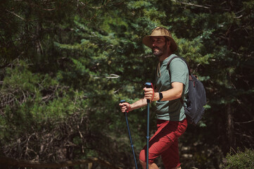 Man Hiking in Forest with Trekking Poles on a Sunny Summer Day