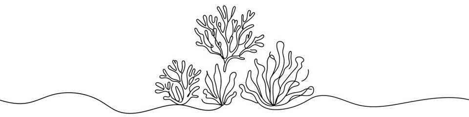 Seaweed icon. Continuous one line drawing of seaweed. Seaweed in one line style, isolated on white background. Vector illustration. © chekman