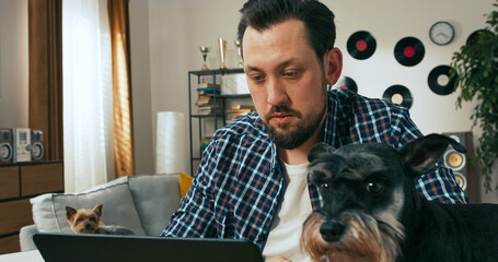 A thoughtful brunet looks at a latpotp, reading papers sent by his employer. The man works remotely...