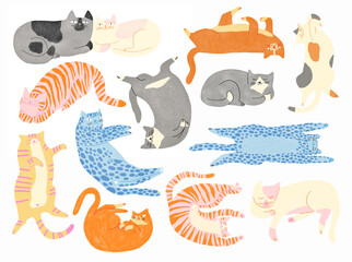 Set of isolated cute cat in different poses