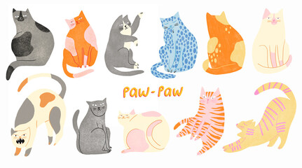 Set of isolated colorful cat in different poses