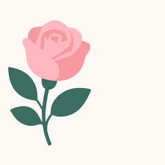 Minimal Pink Rose Bloom With Green Leaves