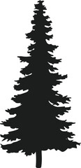 Tall Spruce Tree Silhouette Vector – Evergreen Forest Tree Isolated Illustration